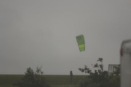 IMG 1490