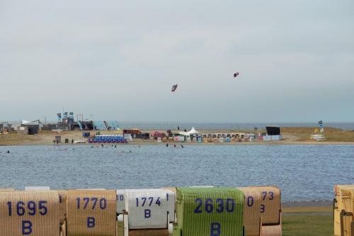 IMG 1491-1