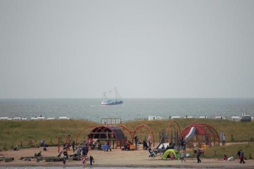 IMG 1493-1
