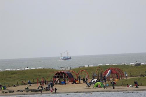 IMG 1493