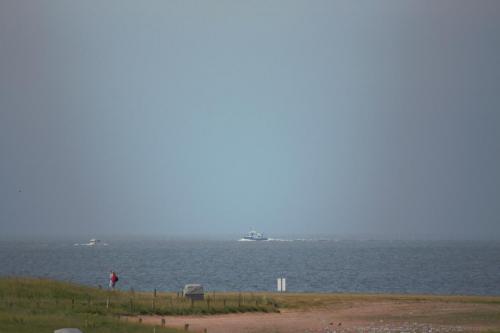 IMG 1497-1