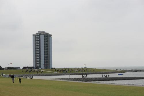 IMG 1500