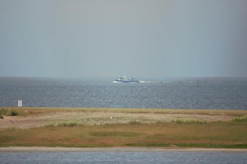 IMG 1503-1