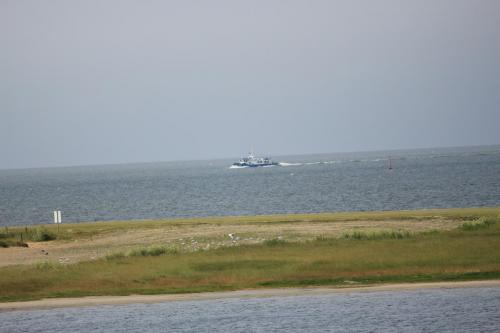 IMG 1503