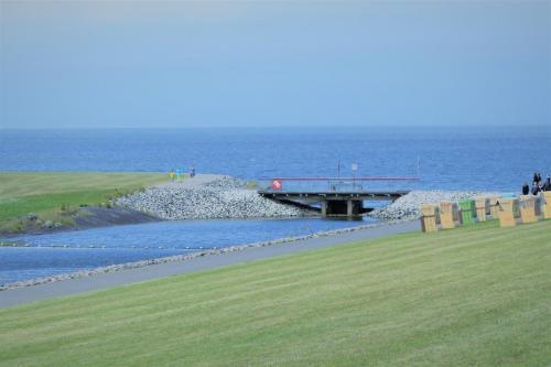 IMG 1506-1