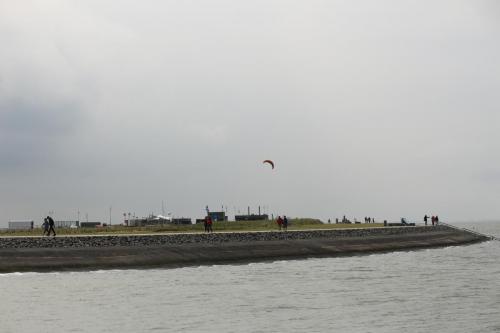 IMG 1513