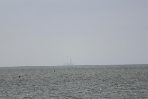 IMG 1514