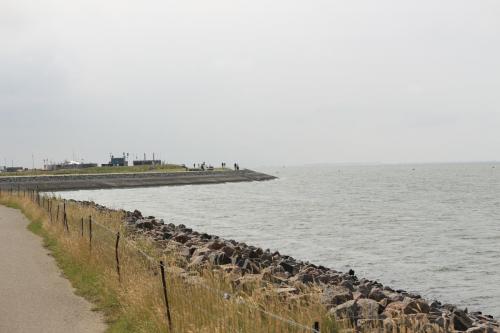 IMG 1517