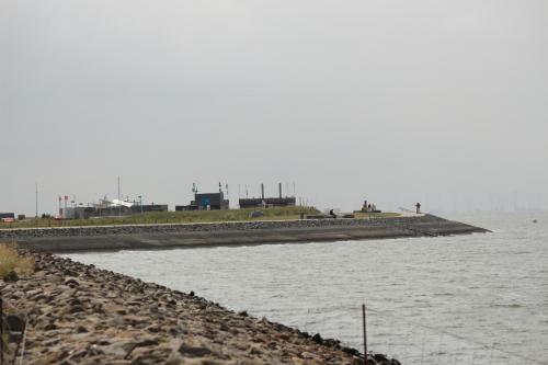 IMG 1519