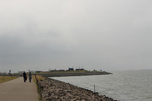 IMG 1520