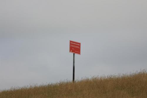 IMG 1525