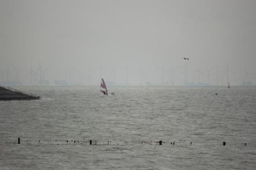 IMG 1528-1