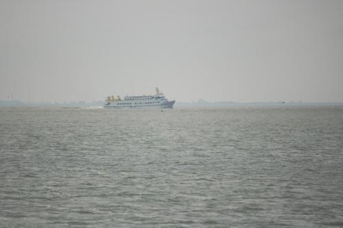 IMG 1537-1