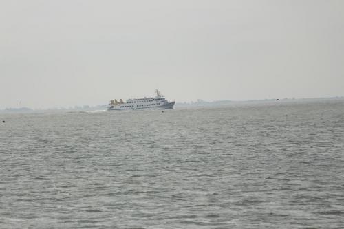 IMG 1537